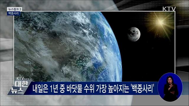 백중사리 [뉴스링크]