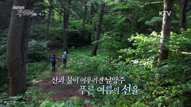 3회 예고 미리보기 - 중앙선, 철길따라 떠나는 남양주