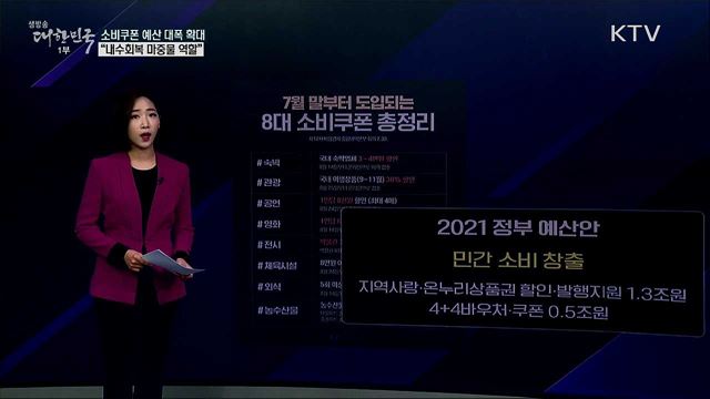 소비쿠폰·바우처 예산 4천9백억 경기부양효과는? [사실은 이렇습니다]