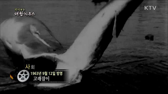 다시보는 대한늬우스 (63. 9. 12) 이미지
