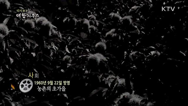 다시보는 대한늬우스 (60. 9. 22) 이미지