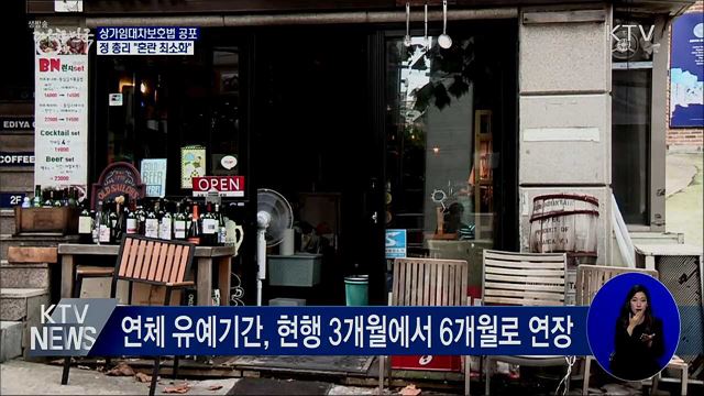 상가임대차보호법 개정안 공포···&#34;혼란 최소화&#34;