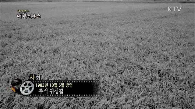 다시보는 대한늬우스 (83. 10. 5) 이미지