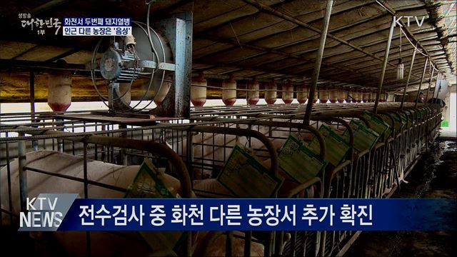 화천서 두번째 돼지열병···인근 다른 농장은 '음성'