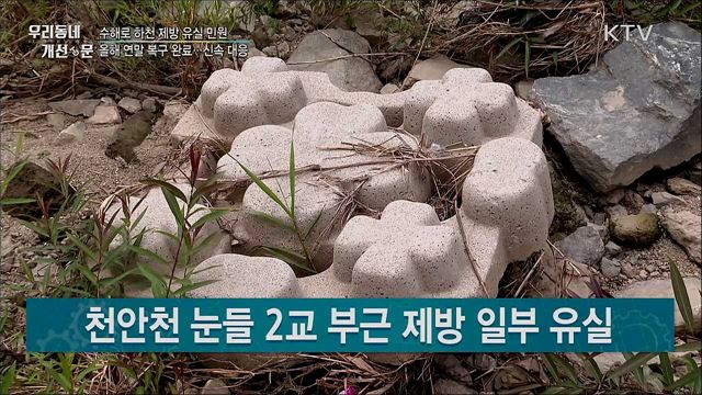 수해로 하천제방 유실 민원···신속 복구 계획