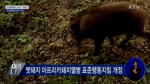 야생멧돼지 ASF 766건···표준행동지침 개정