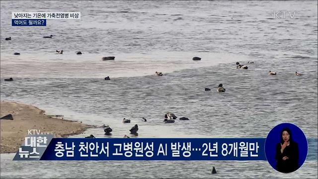 낮아지는 기온에 가축전염병 '비상'···먹어도 될까요?