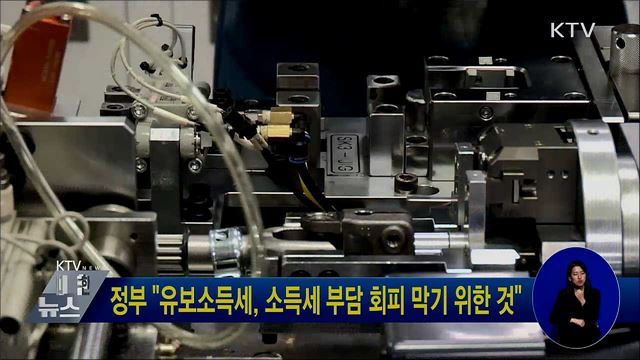 정부 "유보소득세, 소득세 부담 회피 막기 위한 것"