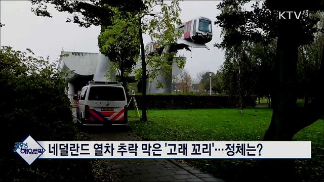 네덜란드 열차 추락 막은 '고래 꼬리'···정체는? [굿모닝 해외토픽]