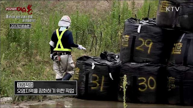 후쿠시마 원전 오염수 방류, 왜 위험한가?