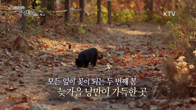 14회 예고 미리보기 - 흙 내음 바람 소리, 늦가을 광주