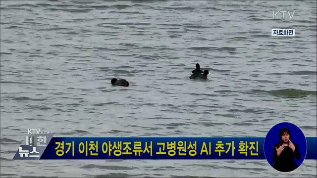 경기 이천 야생조류서 고병원성 AI 추가 확진