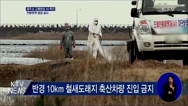 제주서 고병원성 AI 확진···전방위적 점검 실시
