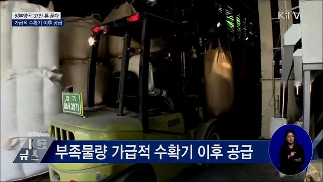 정부양곡 37만 톤 푼다···수확기 이후 공급
