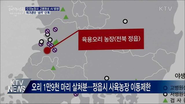 오리농장 고병원성 AI 확진···위기 경보 '심각' 격상