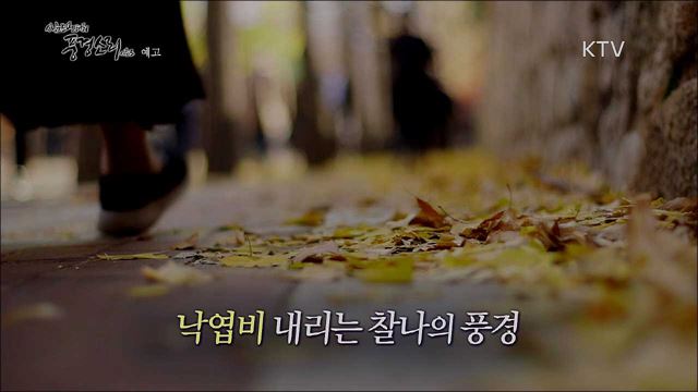 16회 예고 미리보기 -  만추의 소리, 덕수궁 돌담길 -서울 편
