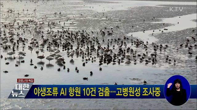 야생조류 AI 항원 10건 검출···고병원성 조사중