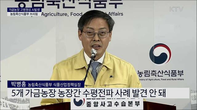 가금농장 고병원성 AI 발생 농림축산식품부 브리핑
