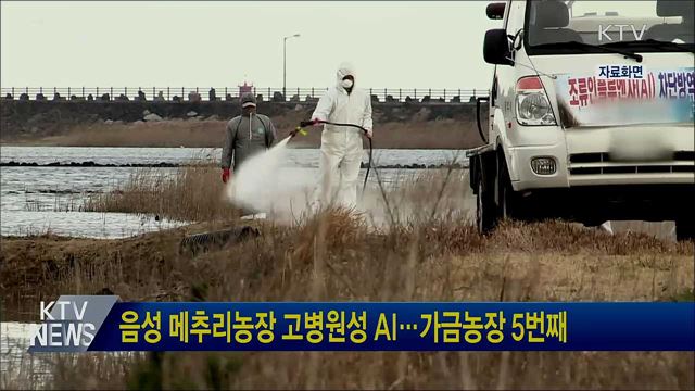 음성 메추리농장 고병원성 AI···가금농장 5번째