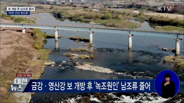 보 개방 후 남조류 줄어···"하천 건강 청신호"