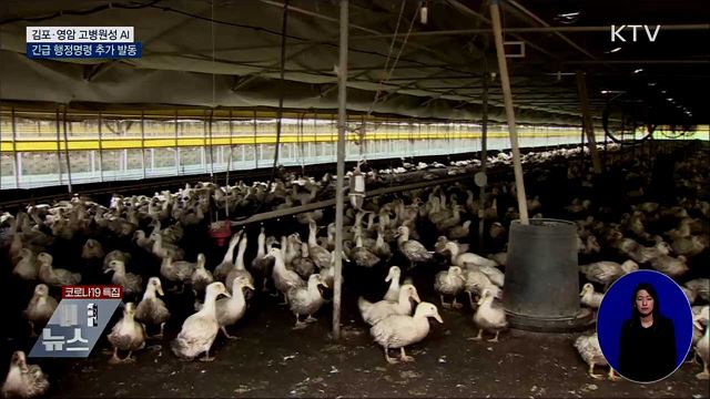 김포·영암 고병원성 AI···긴급 행정명령 추가