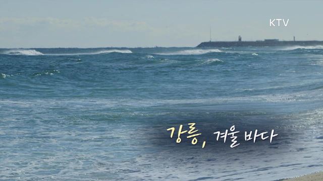 20회 하이라이트 미리보기- 강릉, 겨울바다 