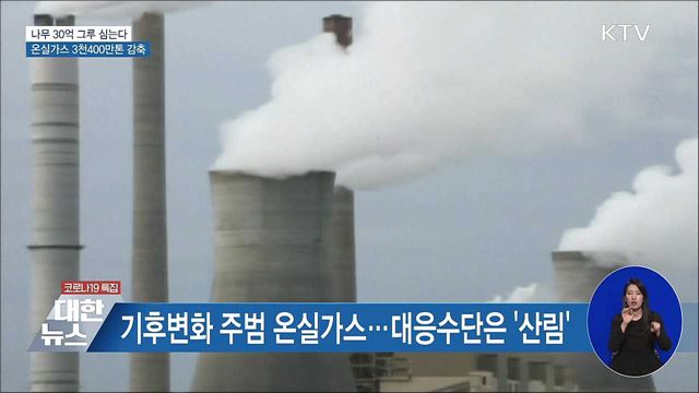 &#39;탄소중립&#39;···2050년까지 나무 30억 그루 심는다