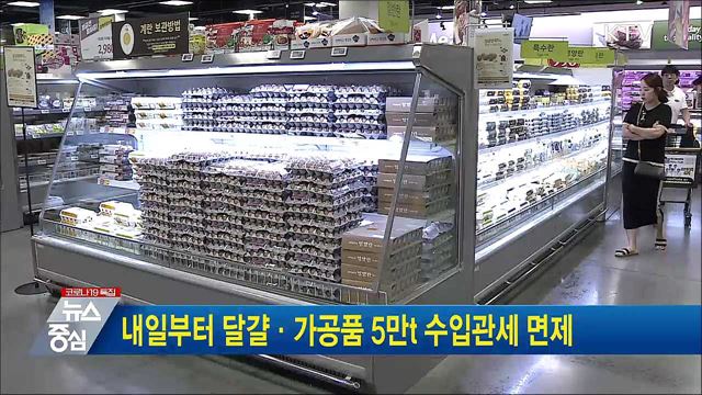 내일부터 달걀·가공품 5만t 수입관세 면제