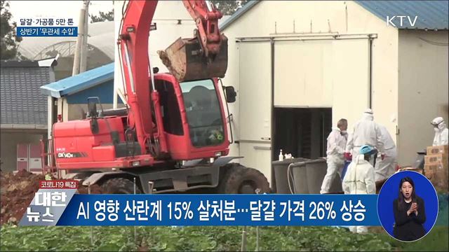 달걀·가공품 5만 톤 상반기 &#39;무관세 수입&#39;