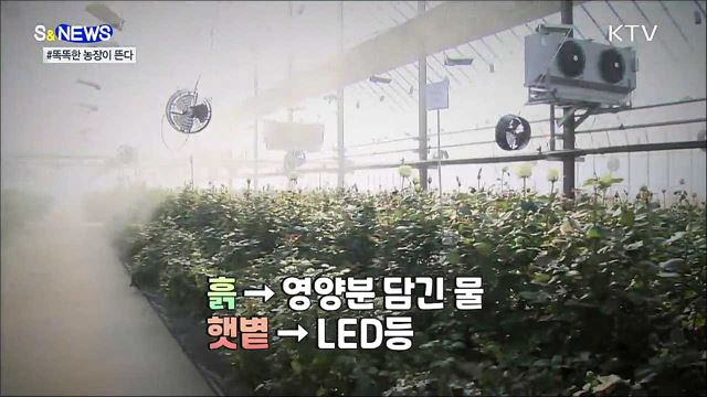 첨단기술로 대량 재배&#39;스마트팜&#39;이 뜬다! [S&#38;News]