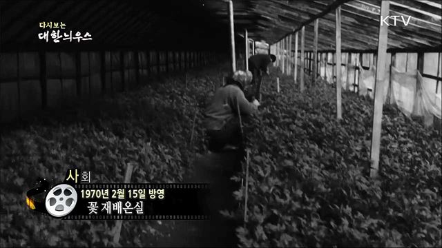 다시보는 대한늬우스 (70. 2. 15)