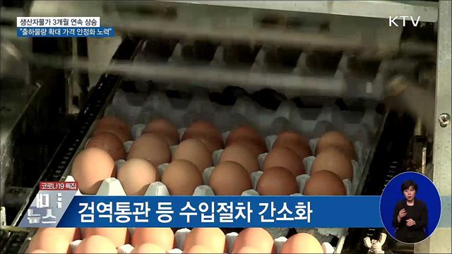 생산자물가 3개월 연속↑···&#34;가격안정화 노력&#34;