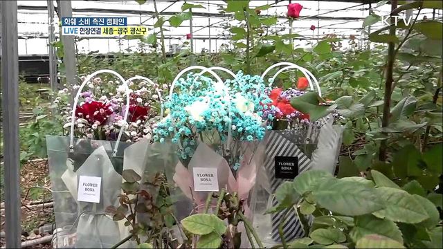 코로나19 극복 화훼농가 돕기, 화훼 소비 촉진 캠페인