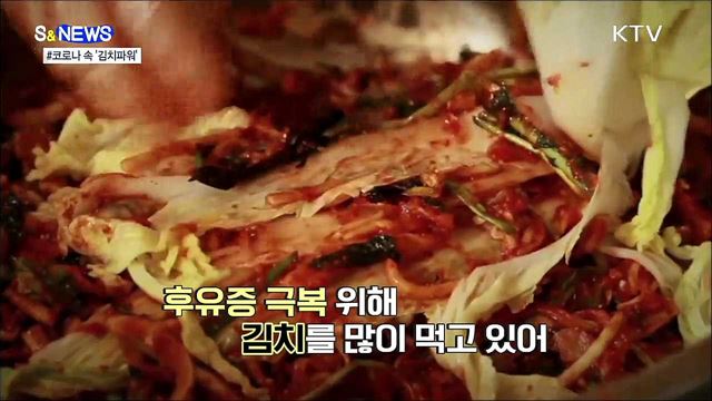 김치가 코로나 회복제? [S&#38;News]