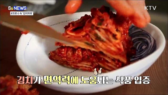 김치가 코로나 회복제? [S&#38;News]