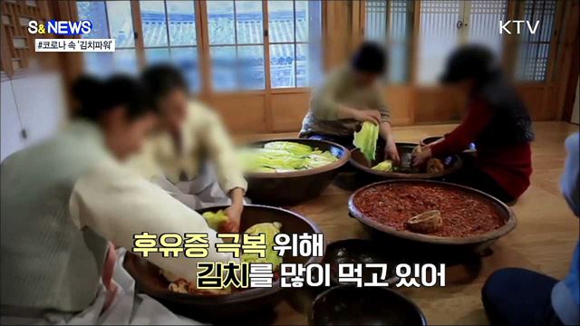 김치가 코로나 회복제? [S&#38;News]