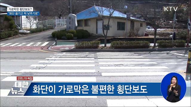 &#39;이상한&#39; 횡단보도···아산시 공사 착수 [우리동네 개선문]