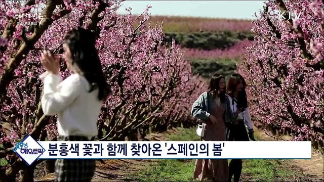분홍색 꽃과 함께 찾아온 &#39;스페인의 봄&#39; [굿모닝 해외토픽]