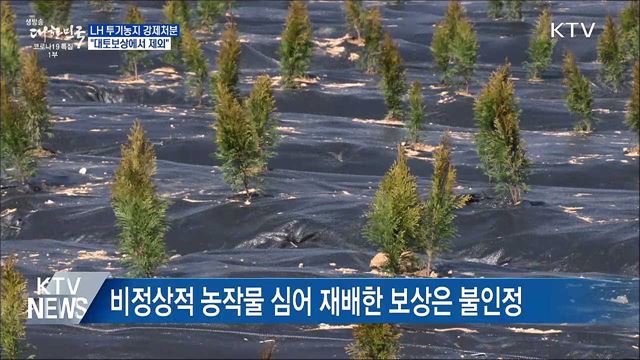 &#34;LH 직원 투기농지 강제처분&#34;···대토보상 배제