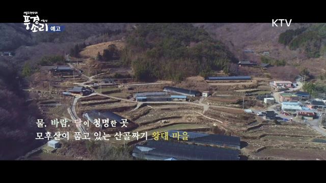 풍경소리 시즌4 예고 미리보기 - 왕대 마을 산골 아리아