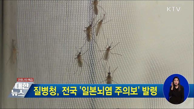 질병청, 전국 &#39;일본뇌염 주의보&#39; 발령