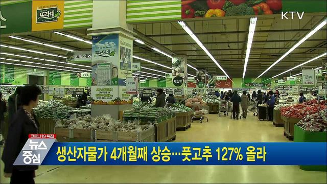생산자물가 4개월째 상승···풋고추 127&#37; 올라