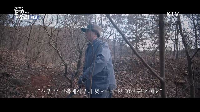 풍경소리 시즌4 예고 미리보기 - 세종시 조치원 반 백년 전통 지게 하모니