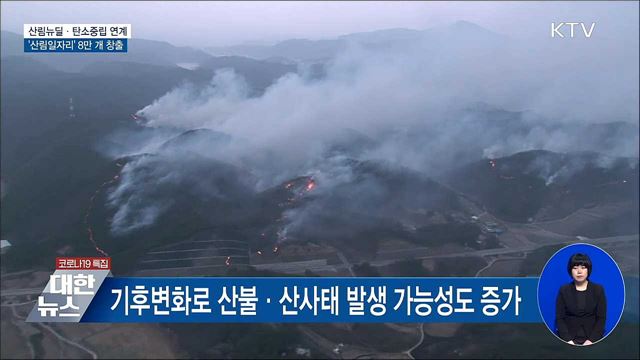 산림뉴딜·탄소중립 연계···&#39;산림일자리&#39; 8만 개 창출