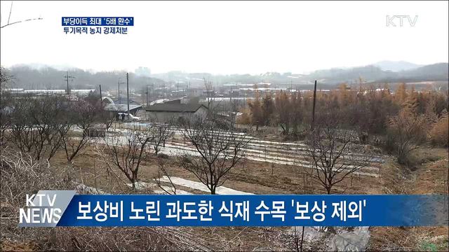 부당이득 &#39;5배 환수&#39;···투기목적 농지 강제처분