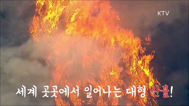 한국판 뉴딜, 나의 뉴딜 하이라이트 미리보기 - 기후위기를 극복하다! 그린 에너지