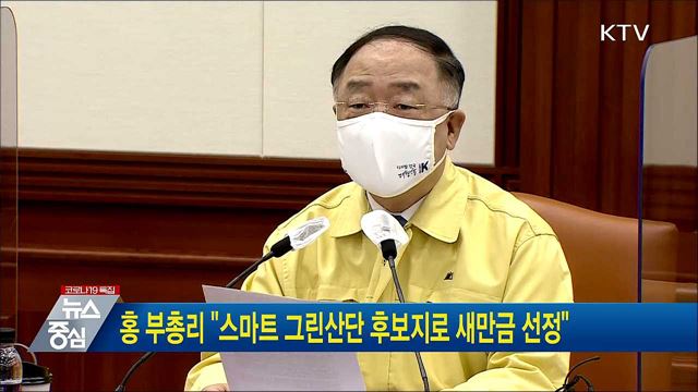 홍 부총리 &#34;스마트 그린산단 후보지로 새만금 선정&#34;