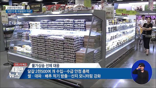 &#34;고용안정지원금 상반기 중 차질없이 지급&#34;