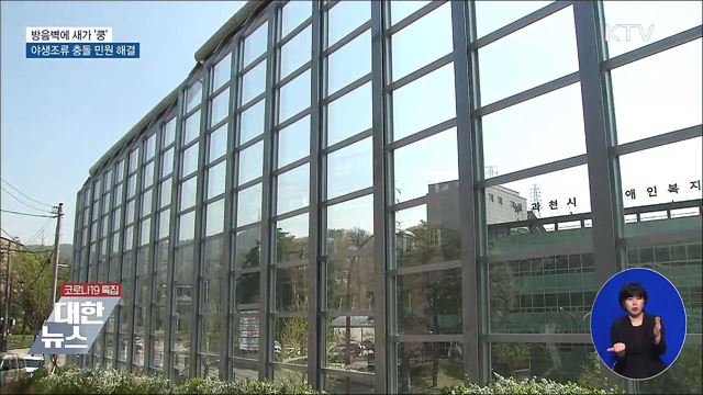 방음벽에 새가 &#39;쿵&#39;···과천시 야생조류 충돌 민원 해결 [우리동네 개선문]