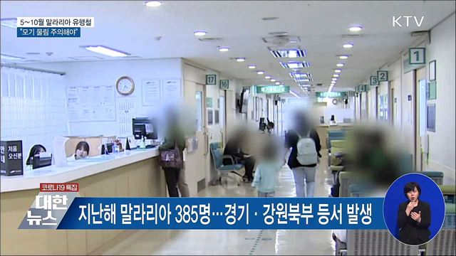 5∼10월 말라리아 유행철···&#34;모기 물림 주의해야&#34;